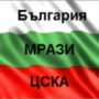 Потребителски аватар