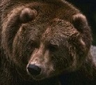 Потребителски аватар
