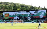 Потребителски аватар