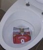 Потребителски аватар