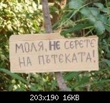 Потребителски аватар