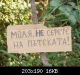 Потребителски аватар