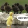 Потребителски аватар