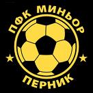 Потребителски аватар